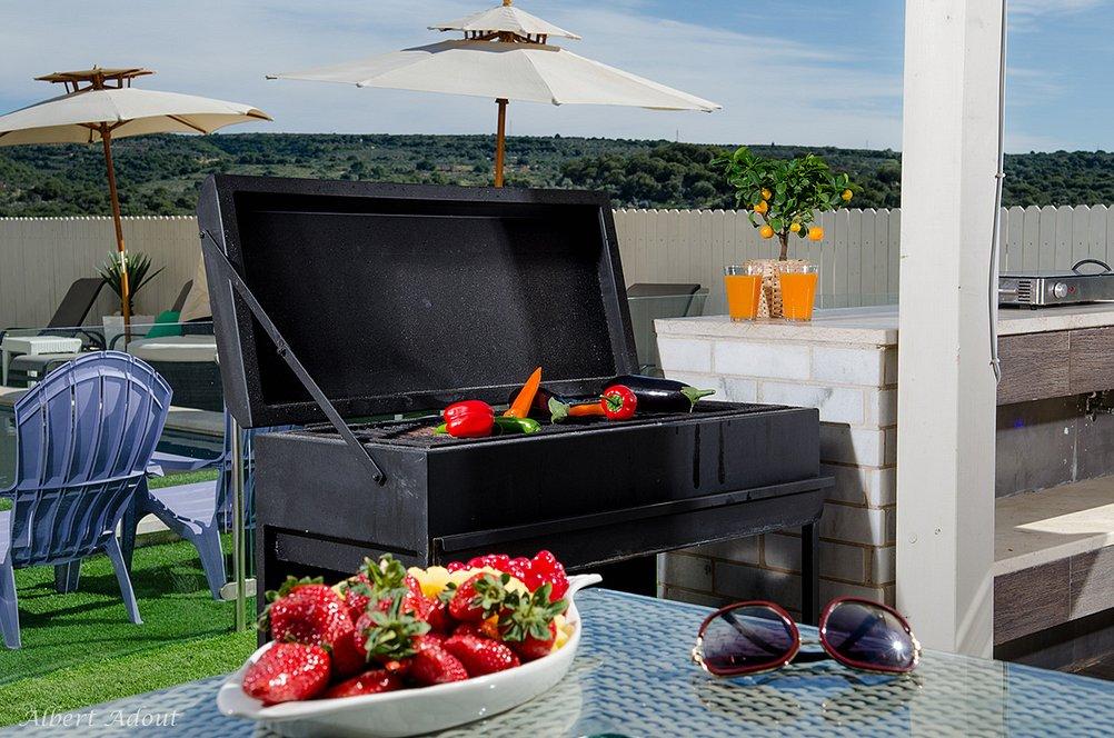 11250 גלריה כללית, וילה כינור דוד המלך, וילה  במנות וילות - Vila