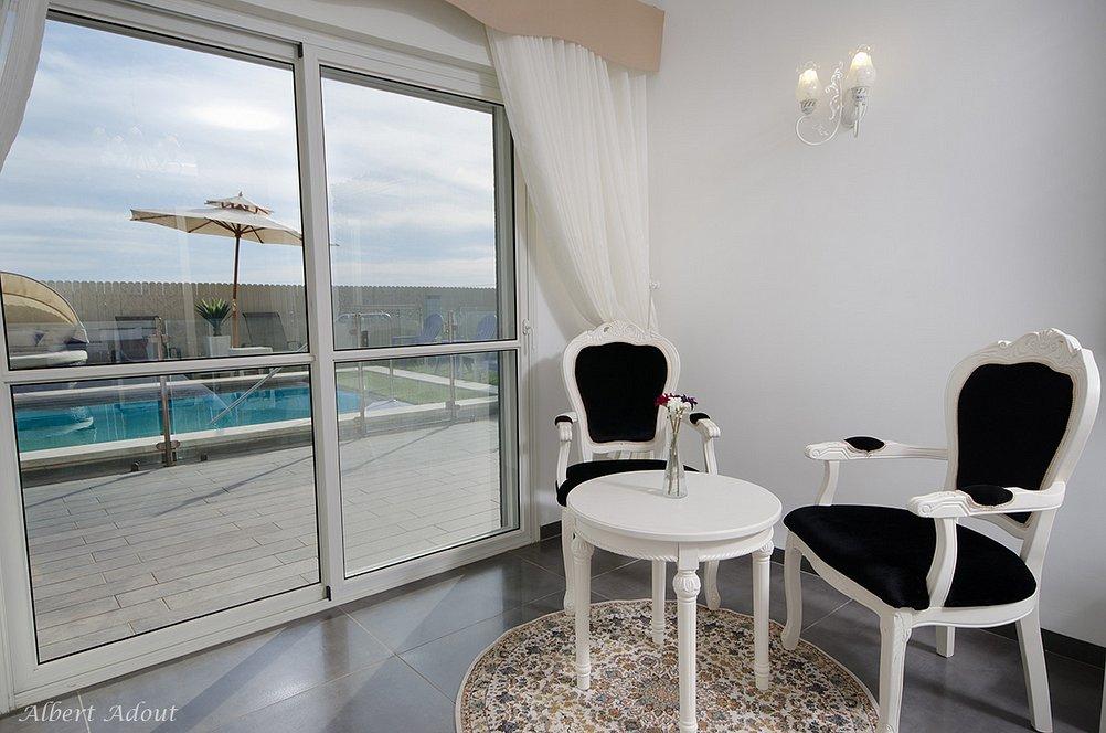 11251 גלריה כללית, וילה כינור דוד המלך, וילה  במנות וילות - Vila