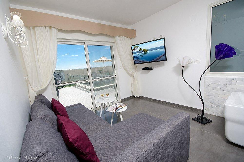 11252 גלריה כללית, וילה כינור דוד המלך, וילה  במנות וילות - Vila