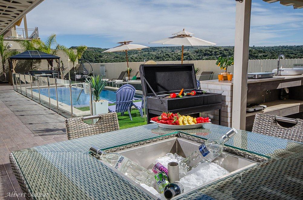 11254 גלריה כללית, וילה כינור דוד המלך, וילה  במנות וילות - Vila