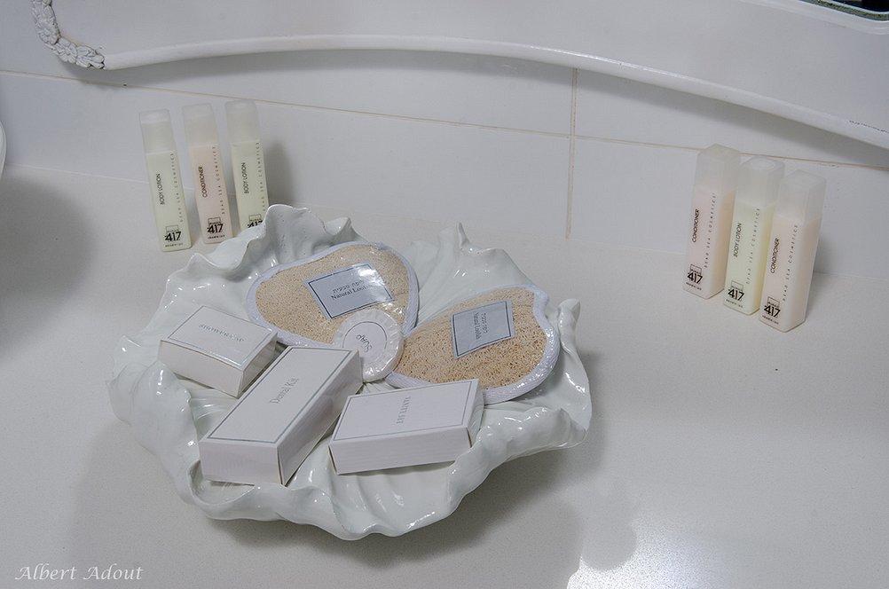 11267 מתחם פנימי והחדרים, וילה כינור דוד המלך, וילה  במנות וילות - Vila