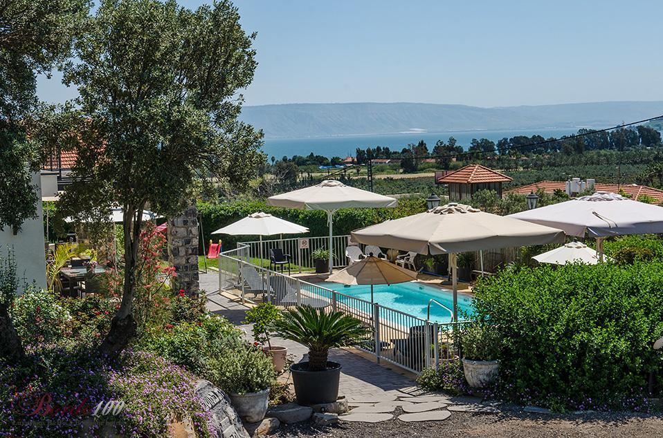 12008 הבריכה והנוף, וילה הבית במושבה, וילה  במגדל וילות - Vila