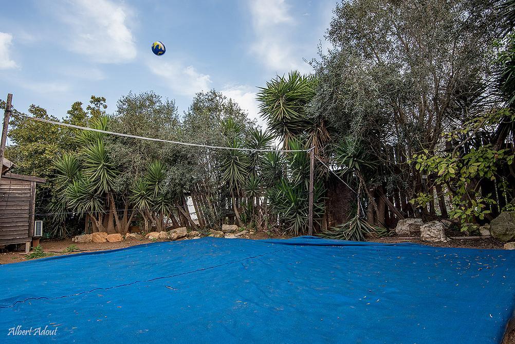 12903 צימרים ארץ אהבתי, וילה פיאסטה, וילה  באבן מנחם וילות - Vila