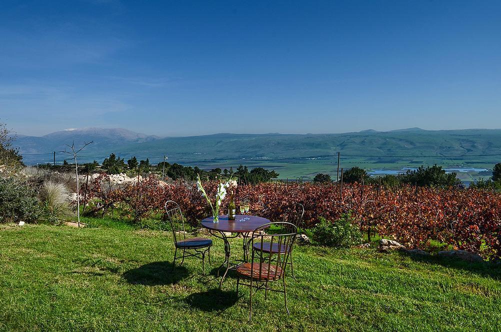 15401 גלריה כללית, אחוזת נפתלי, וילה  ברמות נפתלי וילות - Vila