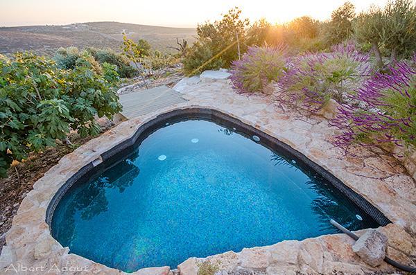 23446 בית עץ, ריקה אירוח בוטיק, וילה  בכליל וילות - Vila