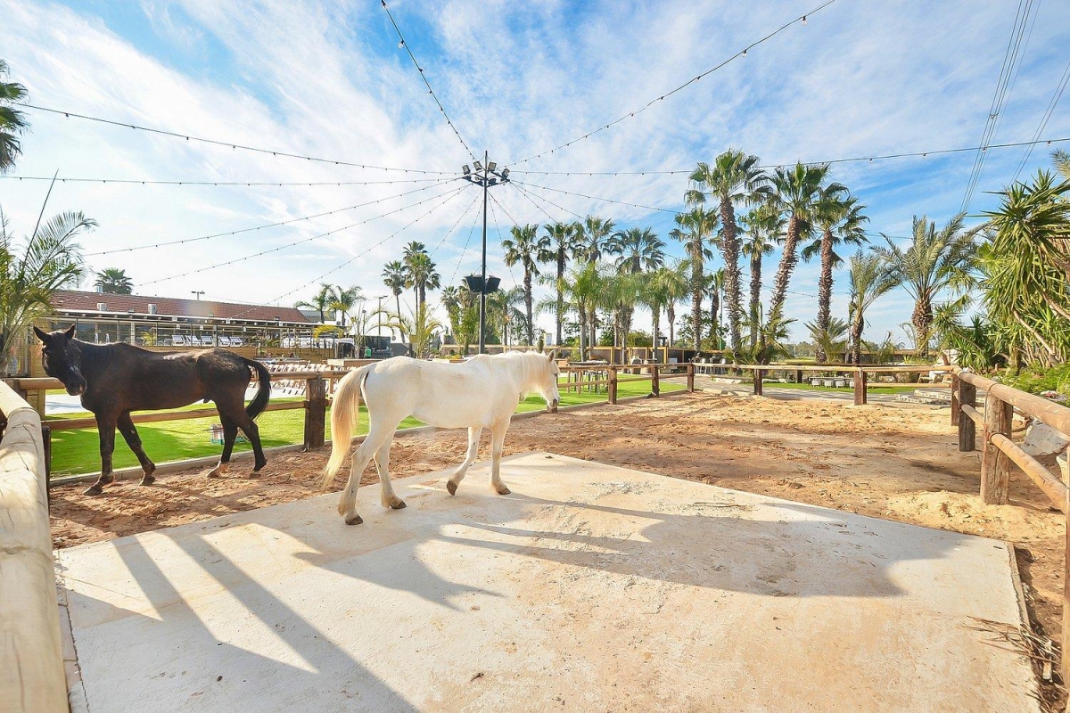 34063 וילה חלום בחווה, וילה חלום בחווה, וילה  בחדרה וילות - Vila