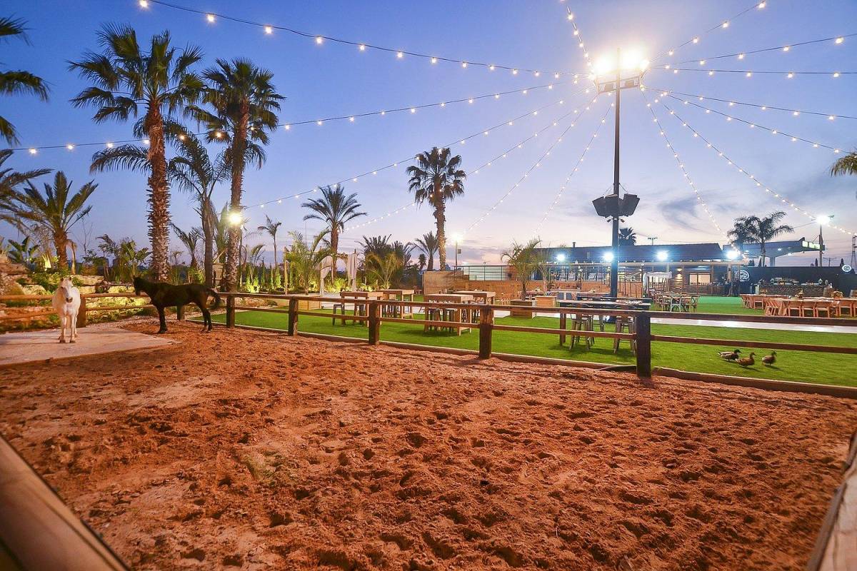 34066 וילה חלום בחווה, וילה חלום בחווה, וילה  בחדרה וילות - Vila