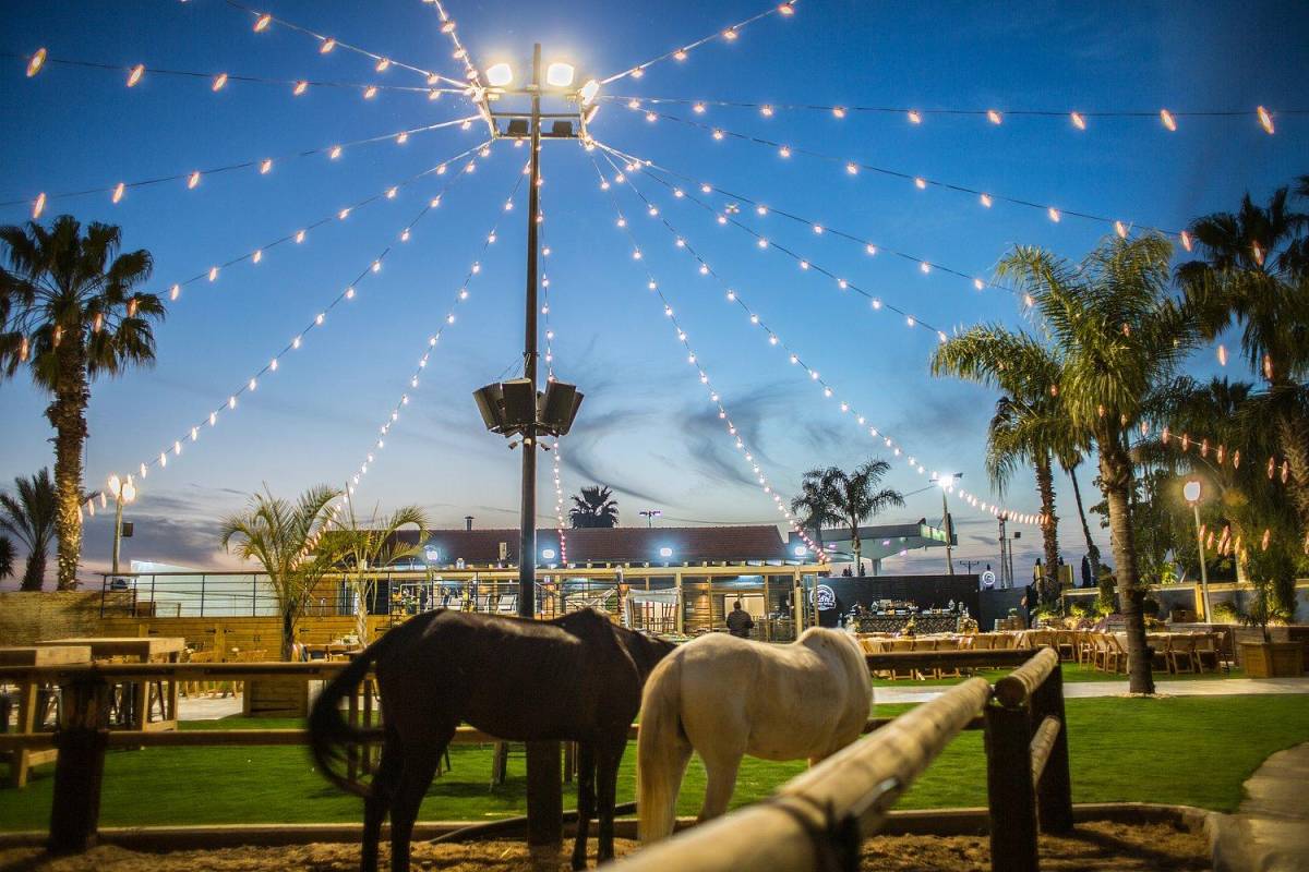 34073 וילה חלום בחווה, וילה חלום בחווה, וילה  בחדרה וילות - Vila