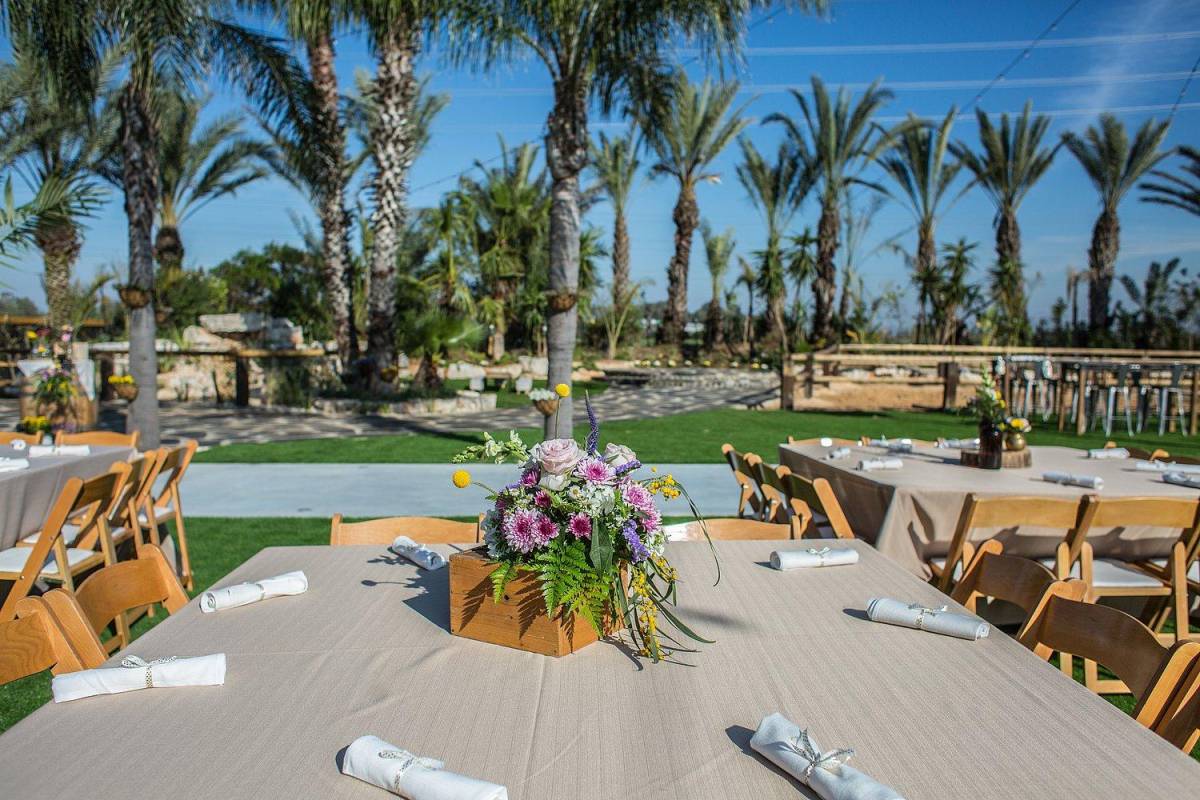 34087 חתונות במתחם, וילה חלום בחווה, וילה  בחדרה וילות - Vila