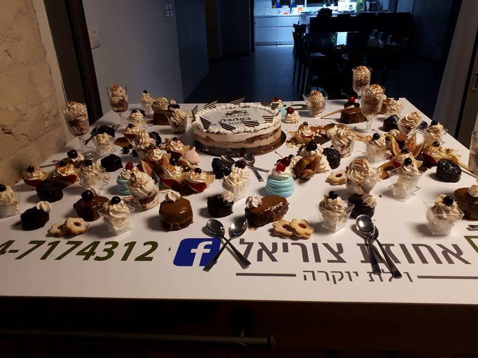 37379 ימי הולדת, ימי כיף ואירועים עיסקיים, אחוזת צוריאל - וילת יוקרה, וילה  בצוריאל וילות - Vila