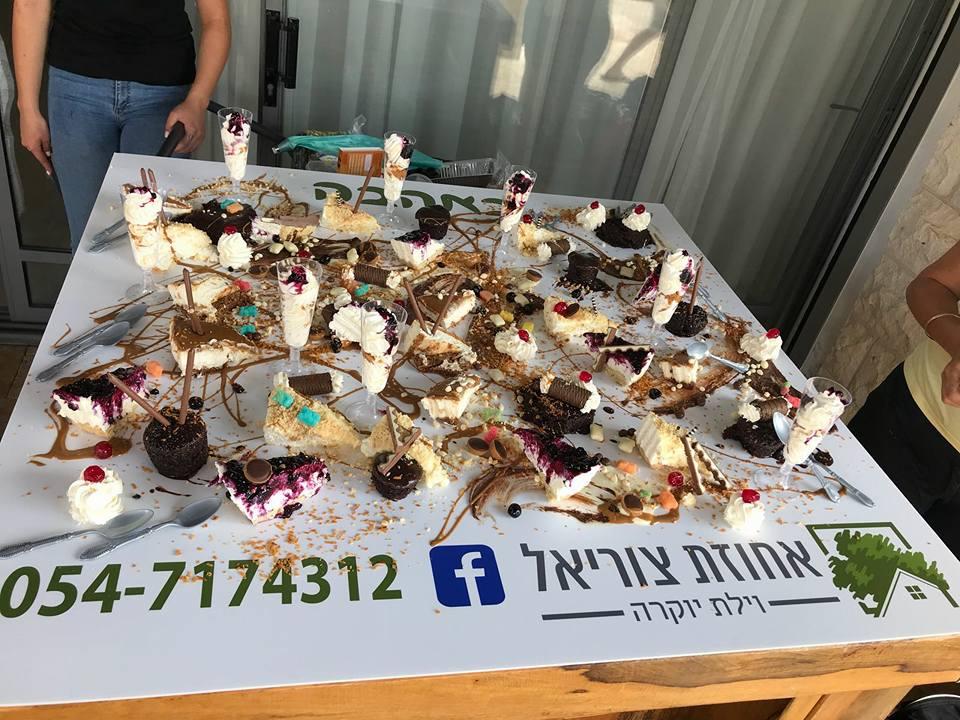 37388 ימי הולדת, ימי כיף ואירועים עיסקיים, אחוזת צוריאל - וילת יוקרה, וילה  בצוריאל וילות - Vila