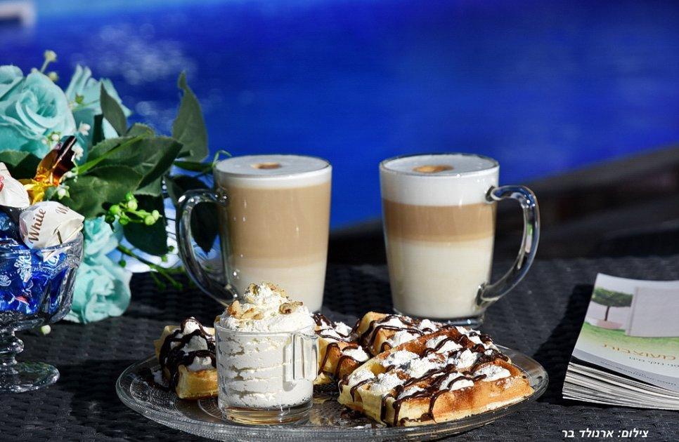 47769 החצר והבריכה, קדם אחוזת יוקרה, וילה  בספסופה וילות - Vila