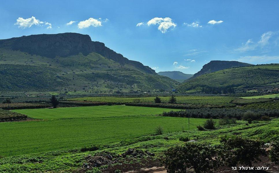 49735 הנוף, וילה סוליס, וילה  במגדל וילות - Vila