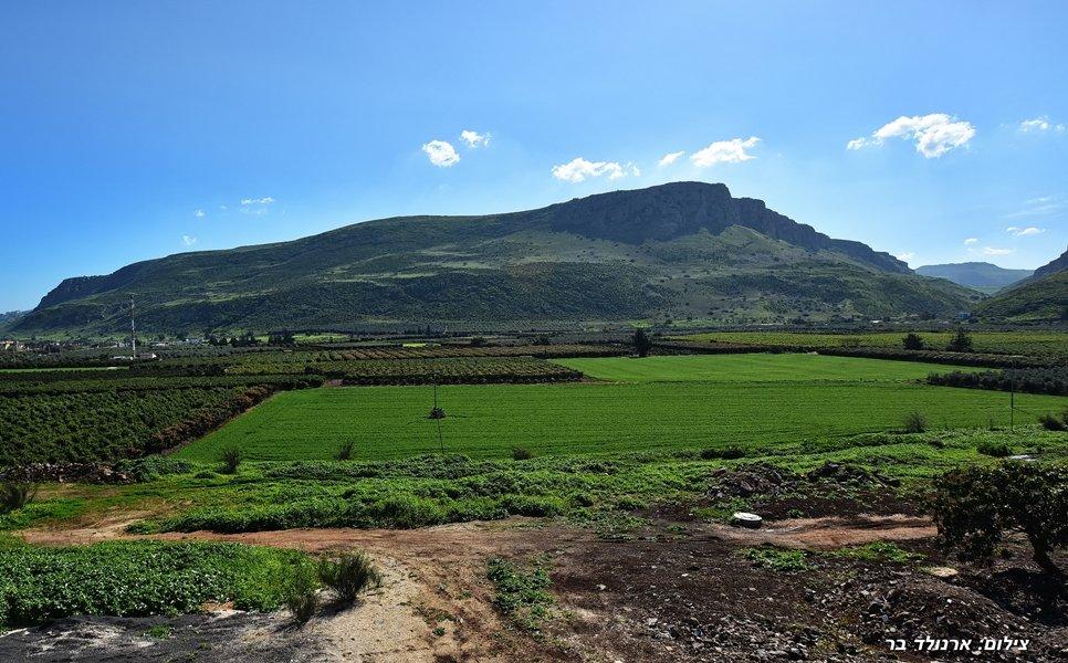 49737 הנוף, וילה סוליס, וילה  במגדל וילות - Vila