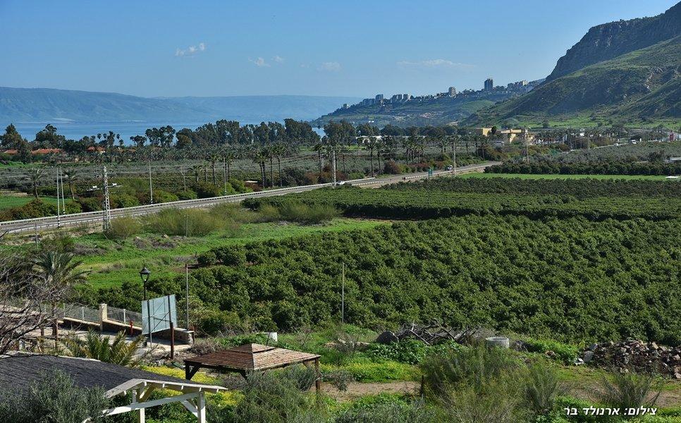 49738 הנוף, וילה סוליס, וילה  במגדל וילות - Vila