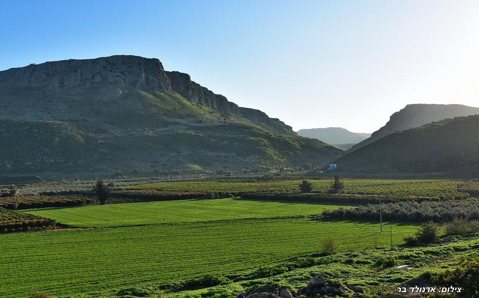 49740 הנוף, וילה סוליס, וילה  במגדל וילות - Vila