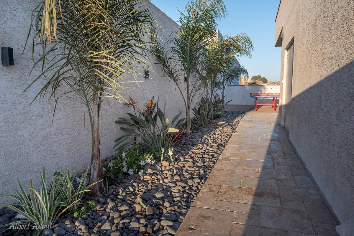 50753 מתחם החצר והבריכה, וילה נובה NOVA, וילה  בדלתון וילות - Vila