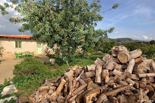 53352 וילה כליל הטבע, וילה כליל הטבע, וילה  בכליל וילות - Vila