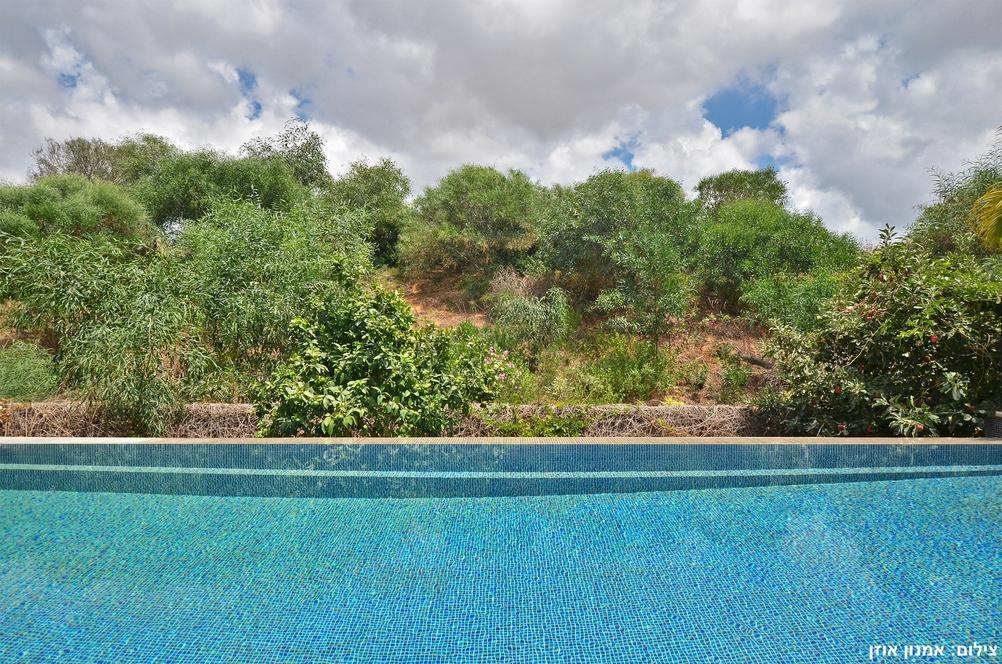 58710 גלריה כללית, וילה סיזר פאלאס, וילה  בקיסריה וילות - Vila