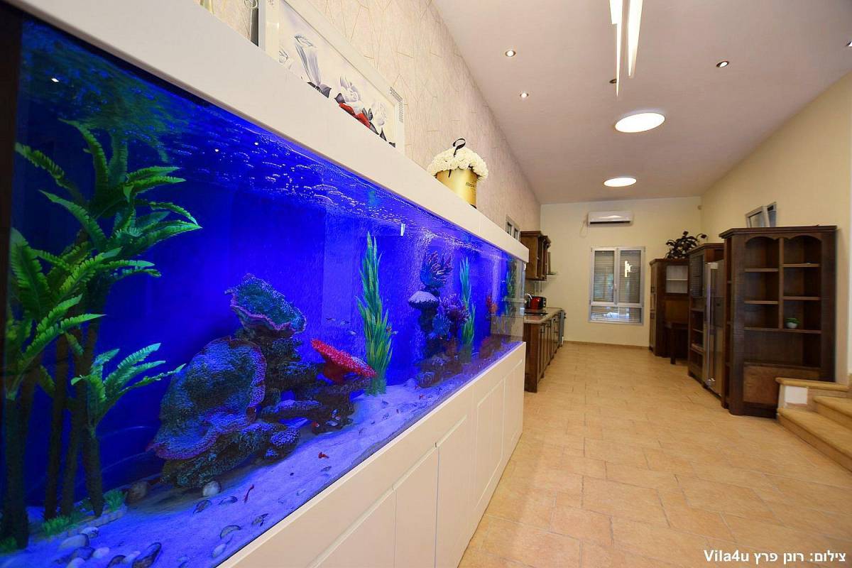 59909 מתחם פנימי, וילה סיזר פאלאס, וילה  בקיסריה וילות - Vila