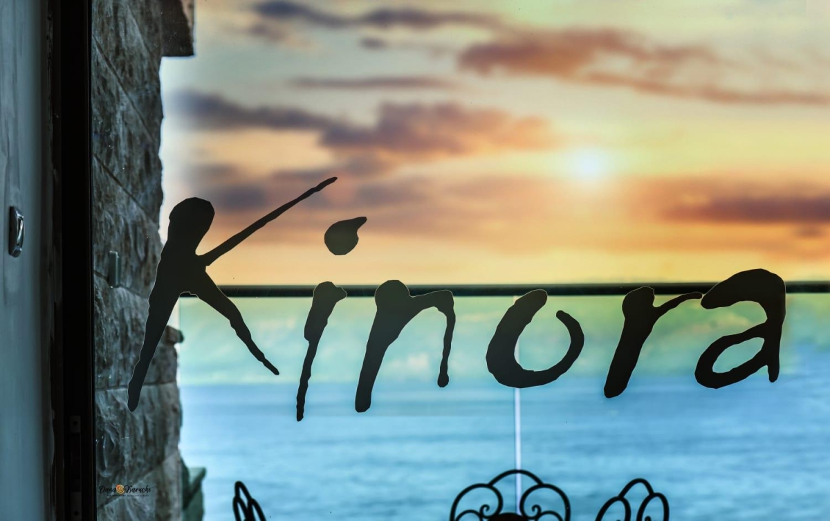 62173 לובי המתחם וקבלת אורחים, אחוזת נופים-מתחם סוויטות, וילה  בטבריה וילות - Vila