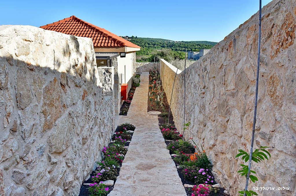 79650 מתחם חיצוני, אחוזת ערמונים, וילה  בשומרה וילות - Vila