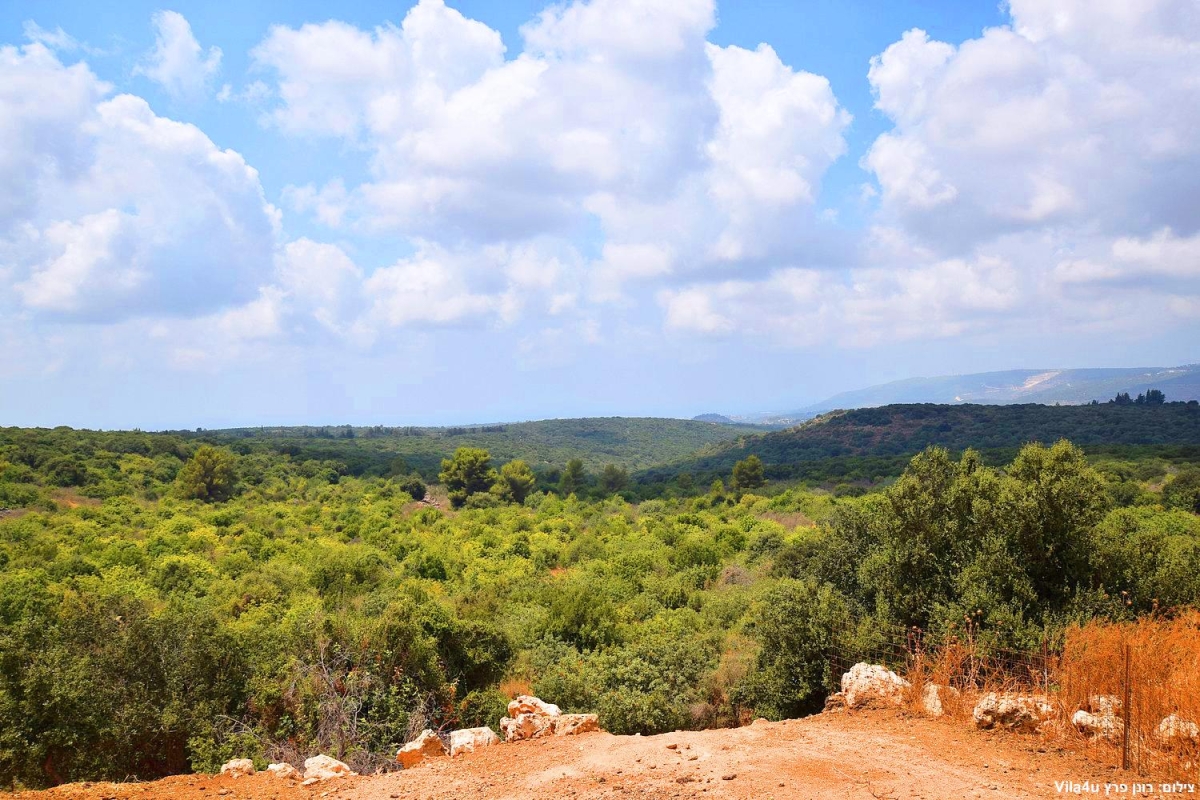 87681 חוות מונפורטויטו, חוות מונפורטויטו, וילה  בגורן וילות - Vila