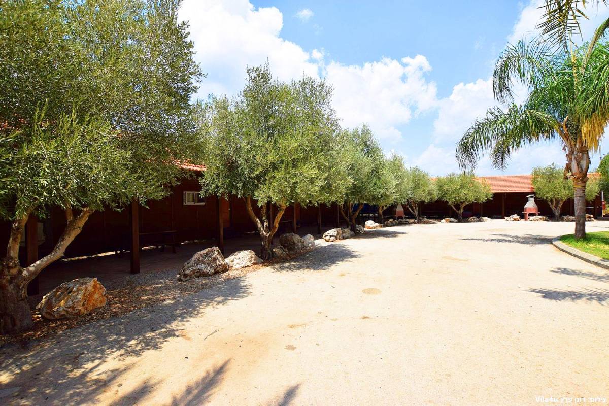 87699 בריכת השחייה + החצר, חוות מונפורטויטו, וילה  בגורן וילות - Vila