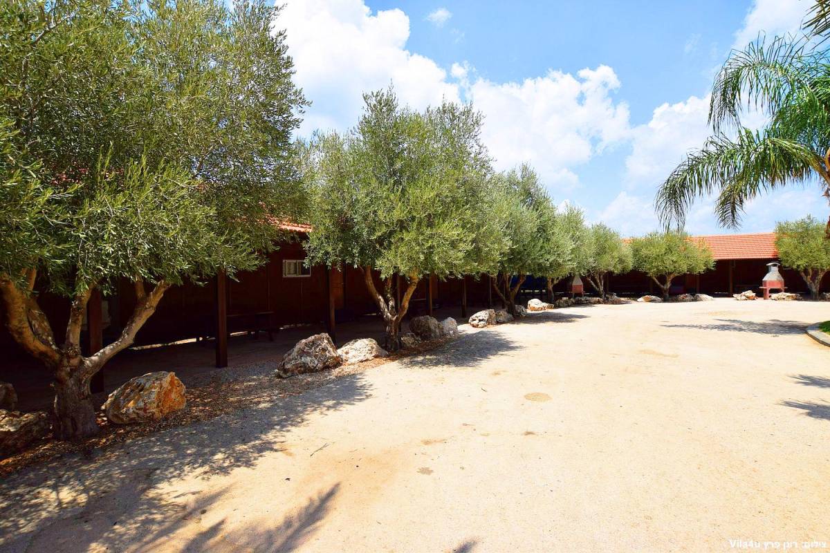 87702 בריכת השחייה + החצר, חוות מונפורטויטו, וילה  בגורן וילות - Vila