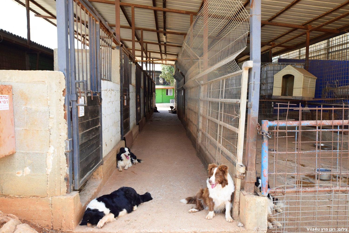 87719 אטרקציות במקום, חוות מונפורטויטו, וילה  בגורן וילות - Vila