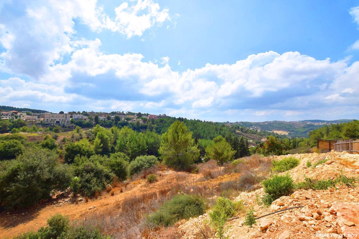 90609 כללי, וילה אליזה בוטיק, וילה  בעוספיה וילות - Vila