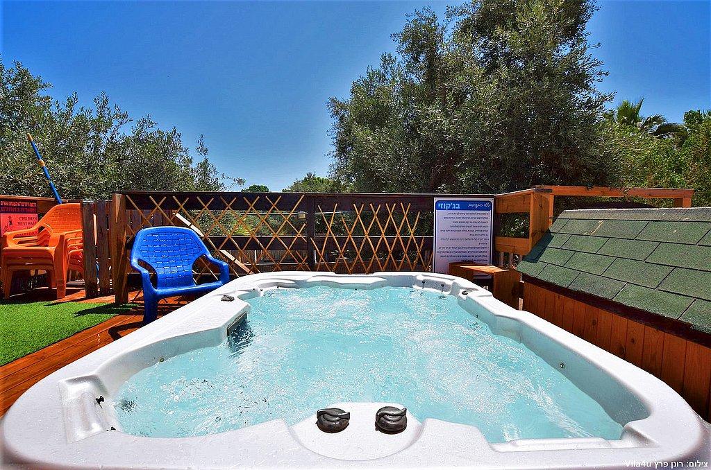 101535 כללי, וילה נסיכת הכנרת, וילה  בכפר זיתים וילות - Vila
