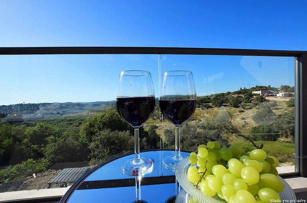 110371 מתחם חיצוני, אחוזת דיויד פאלאס, וילה  בצוריאל וילות - Vila 110371 מתחם חיצוני, אחוזת דיויד פאלאס, וילה  בצוריאל וילות - Vila