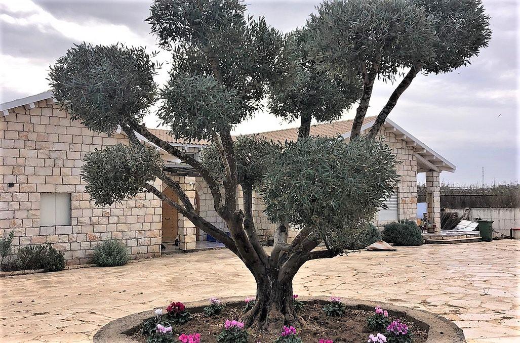 135839 המתחם החיצוני, קאסה לינדה, וילה  בעוזה וילות - Vila