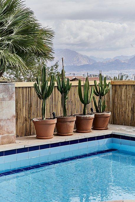 142424 מתחם חיצוני, וילה בלפור אילת, וילה  באילת וילות - Vila