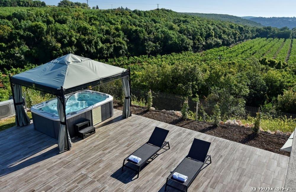 148610 המתחם החיצוני, אחוזת נוביו, וילה  בשתולה וילות - Vila