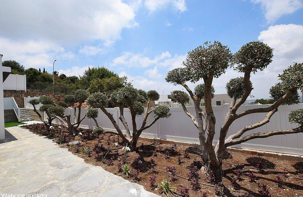 149492 גלריה כללית, אחוזת אור הנוף, וילה  בשתולה וילות - Vila