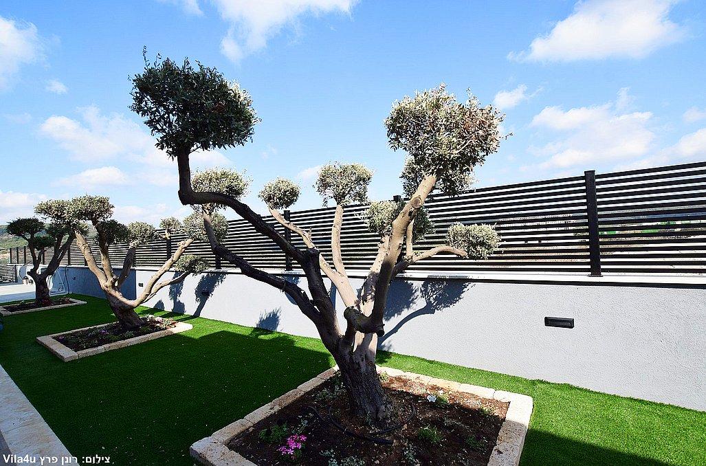 154687 גלריה כללית של המתחם, וילה מול ההר, וילה  בשומרה וילות - Vila
