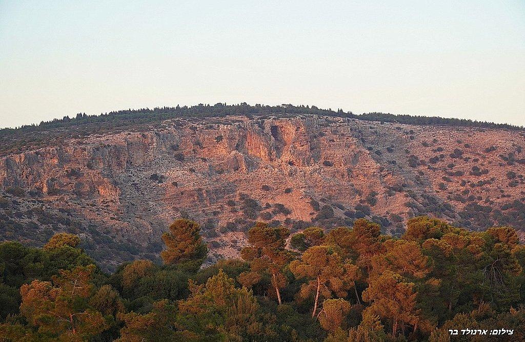 156375 אחוזת יערה, אחוזת יערה, וילה  ביערה וילות - Vila