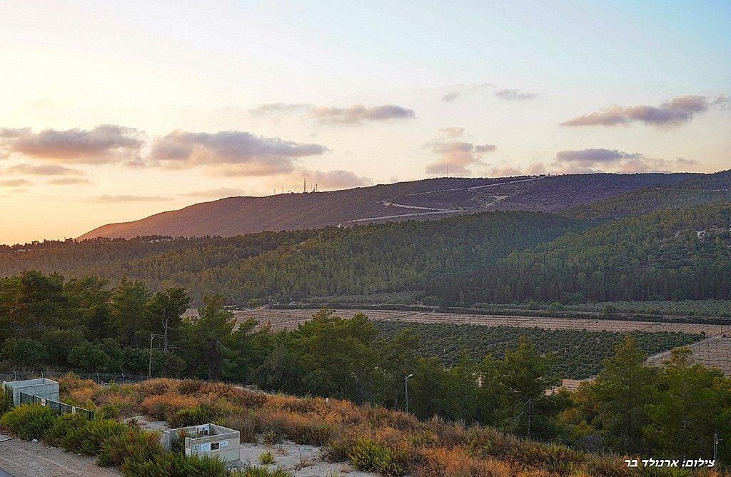 156462 גלרית חוץ, אחוזת יערה, וילה  ביערה וילות - Vila