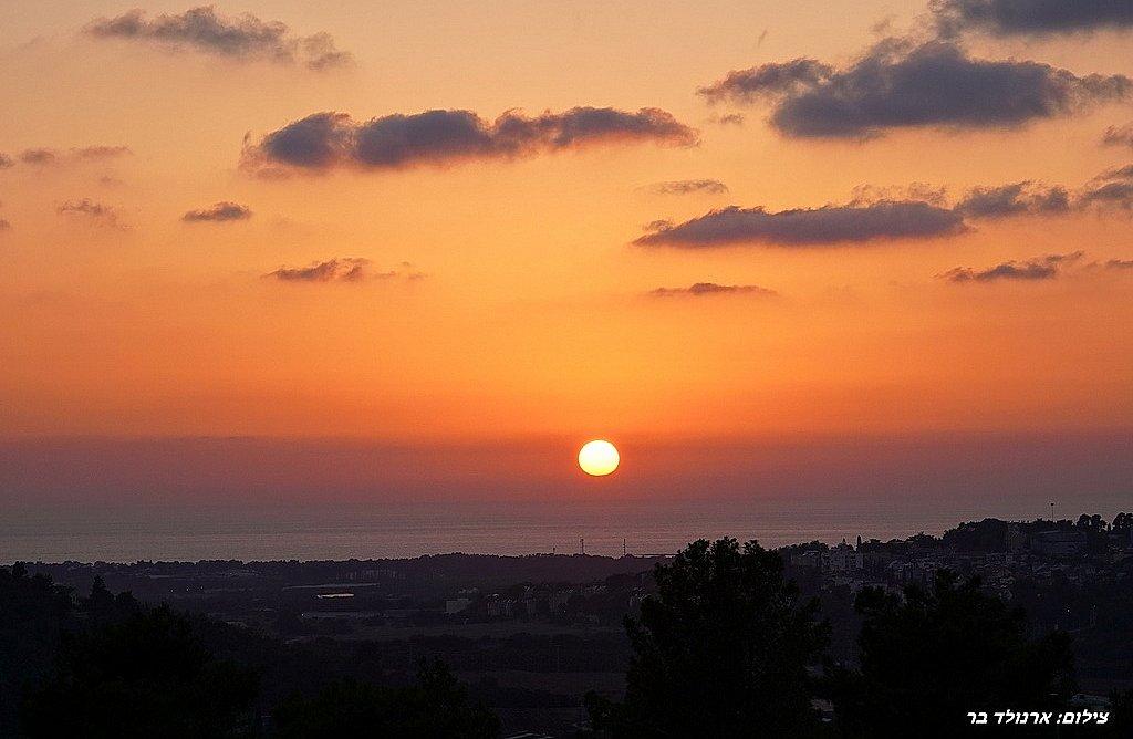 156465 גלרית חוץ, אחוזת יערה, וילה  ביערה וילות - Vila