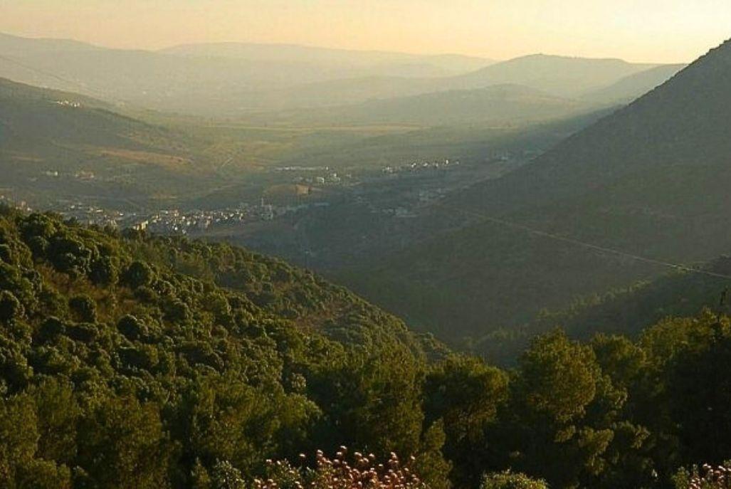 161601 מתחם חיצוני, אחוזת שלמה, וילה  בחזון וילות - Vila