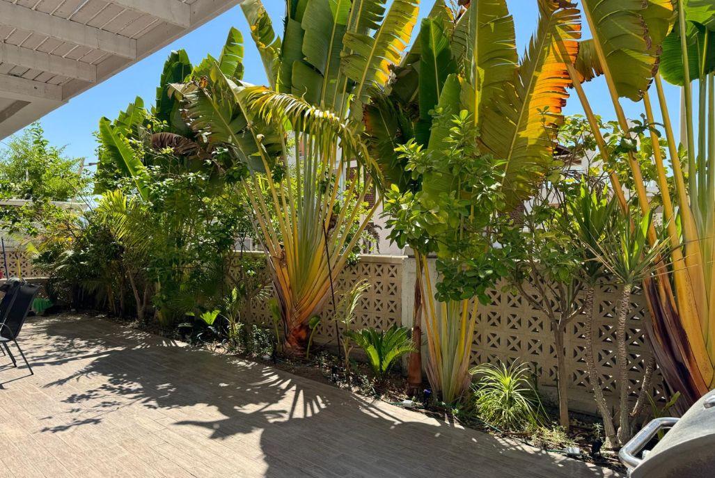 165226 מתחם חיצוני, סאן בוטיק דירת נופש, וילה  באילת וילות - Vila