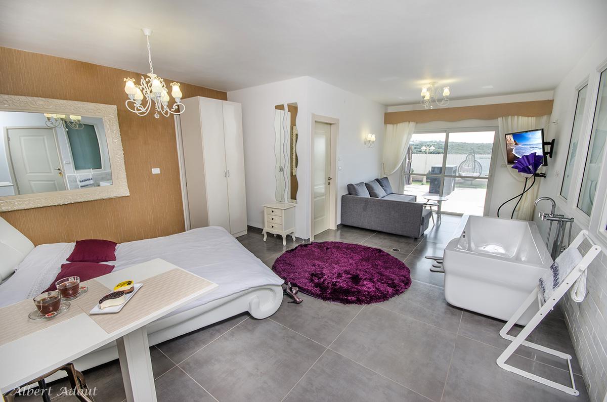 183942 גלריה כללית, וילה כינור דוד המלך, וילה  במנות וילות - Vila