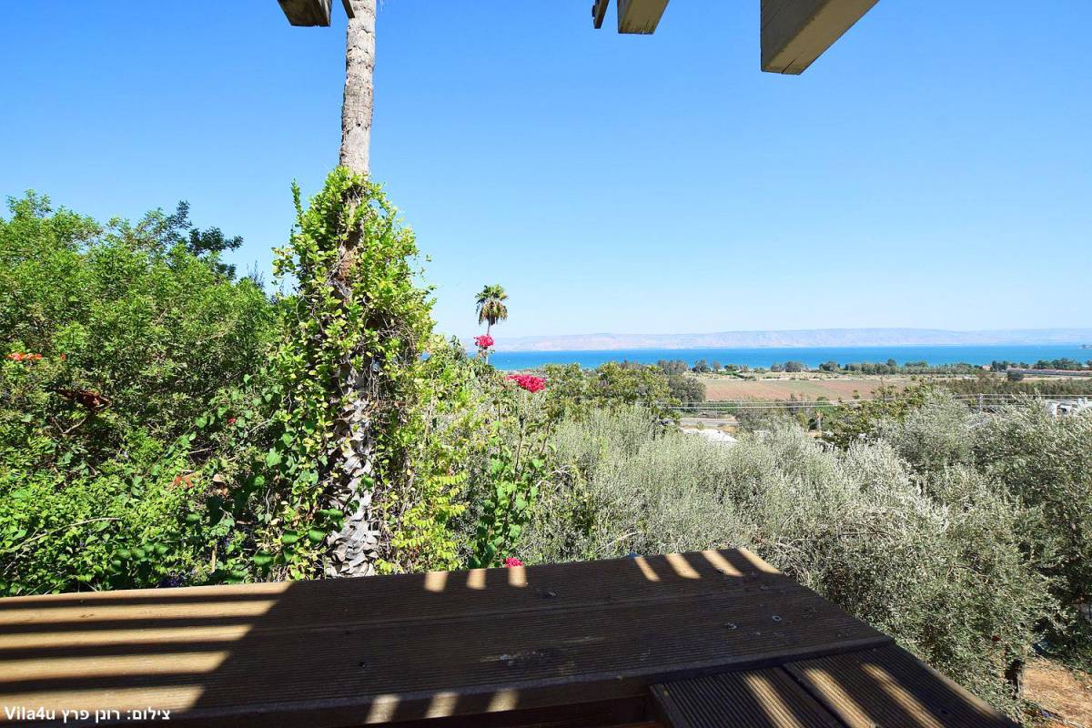 201983 חצר ונוף, וילה בין תכלת ללבן, וילה  במגדל וילות - Vila