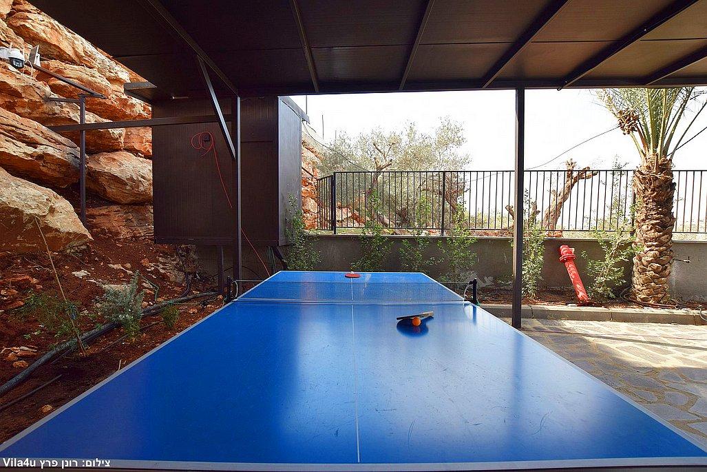 206383 מתחם חיצוני, אחוזת לונריה, וילה  בירכא וילות - Vila