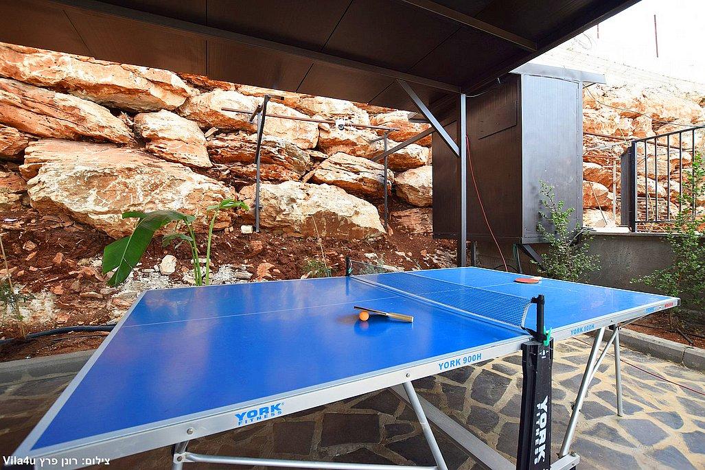 206385 מתחם חיצוני, אחוזת לונריה, וילה  בירכא וילות - Vila