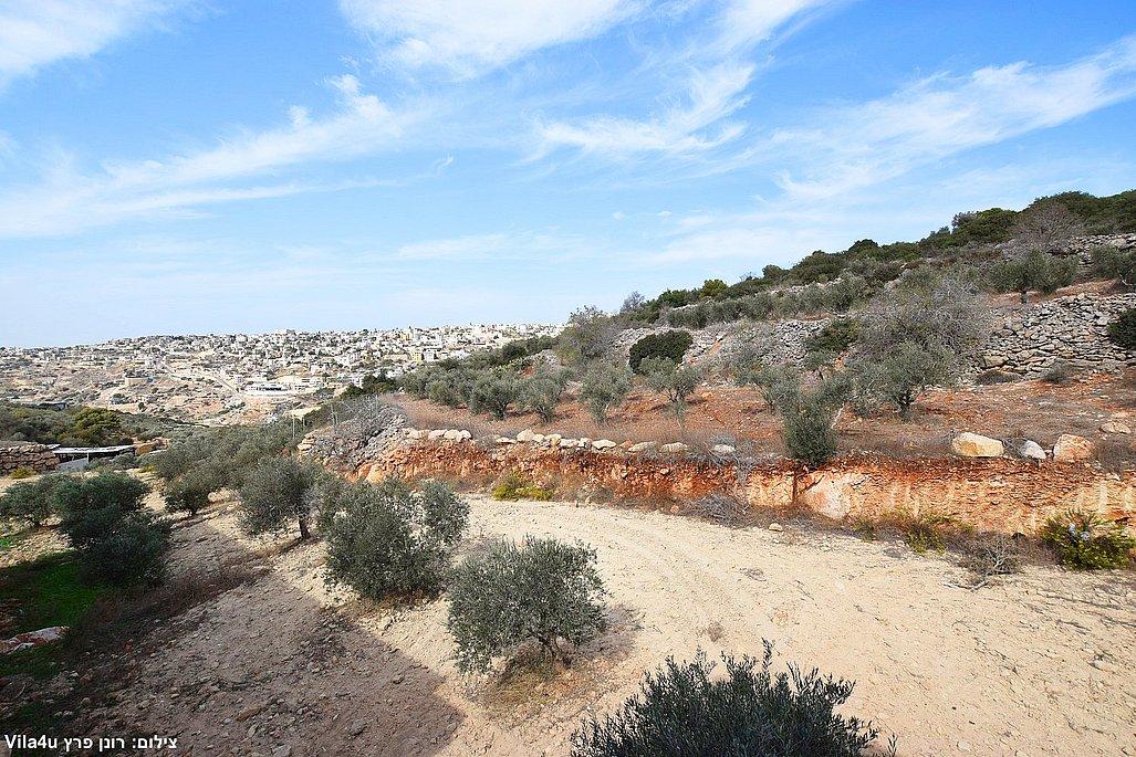 206436 גלריה כללית, אחוזת לונריה, וילה  בירכא וילות - Vila