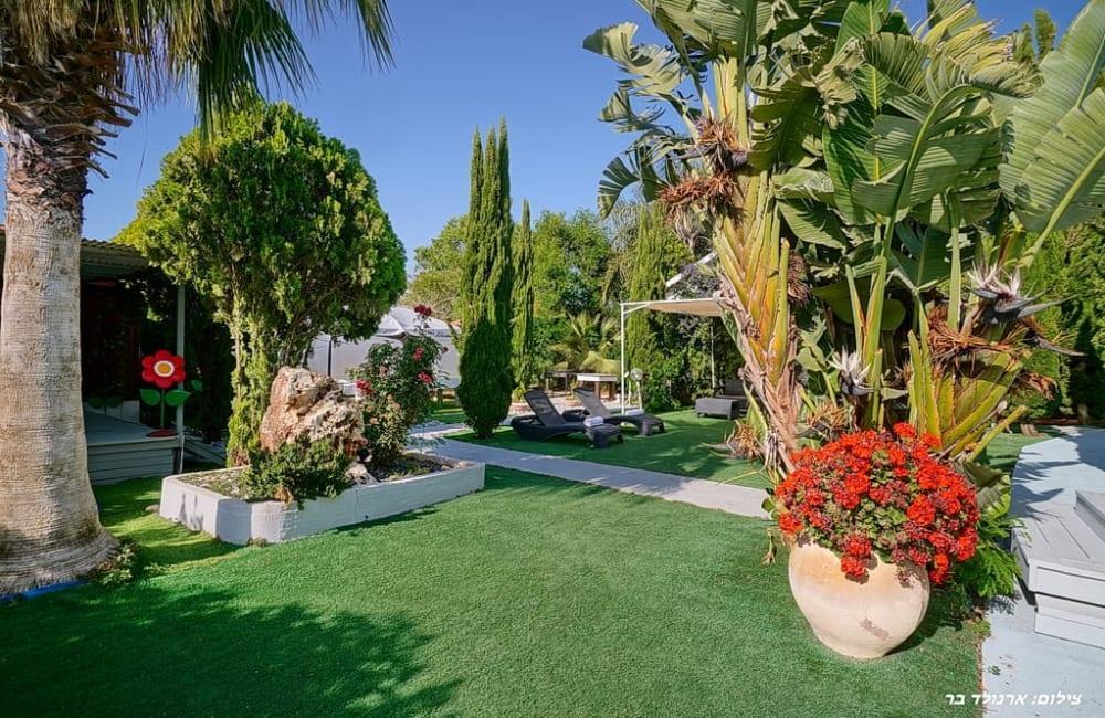 206779 החצר והבריכה, אושיה ריזורט, וילה  בעבדון וילות - Vila