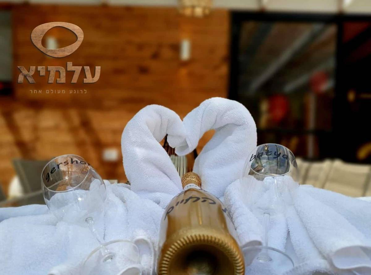 208385 מתחם הספא, וילה עלמיא, וילה  בזנוח וילות - Vila